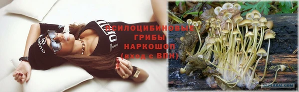 PSILOCYBIN Кодинск