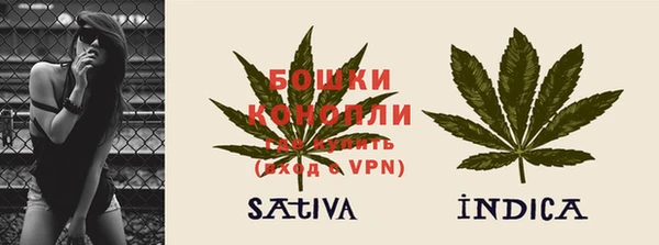 PSILOCYBIN Кодинск