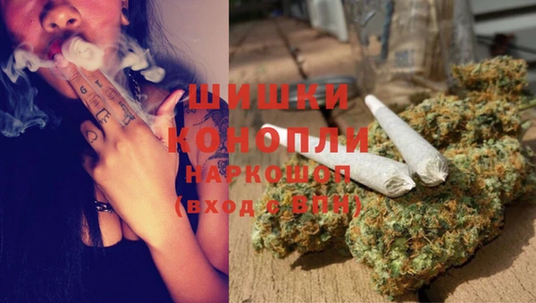 ALPHA PVP Козельск