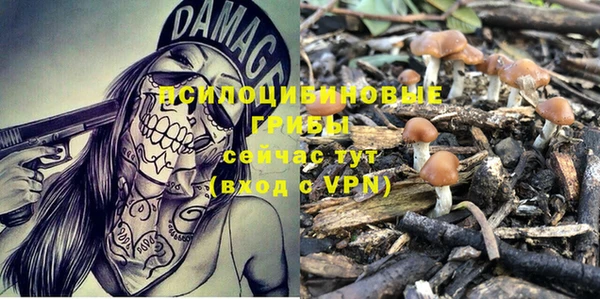 шишки Козловка