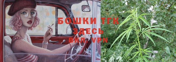 PSILOCYBIN Кодинск