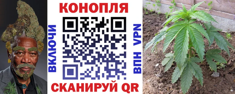 Бошки марихуана ГИДРОПОН  Тюмень 